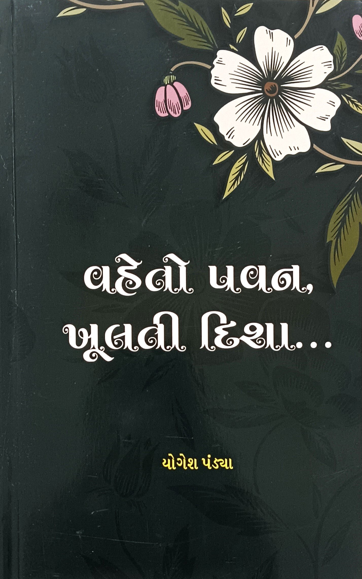 Vaheto Pavan Khulti Disha